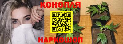 спиды Донской